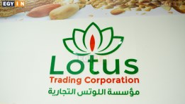 مؤسسة اللوتس التجارية