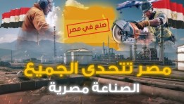 الصناعة المصرية