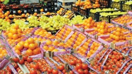 الصادرات الزراعية المصرية