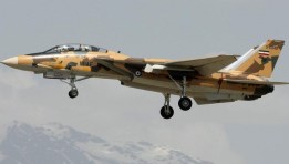طائرة مقاتلة من طراز F-14