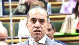 المستشار محمود فوزي