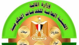 الهيئة العامة للخدمات الحكومية
