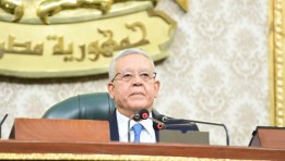 المستشار الدكتور حنفي جبالي