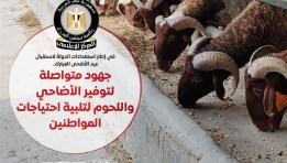المركز الإعلامي لمجلس الوزراء