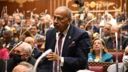المهندس هاني العسال، عضو مجلس الشيوخ