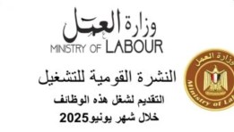 وزارة العمل
