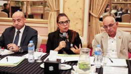 مجموعة العمل الوطنية