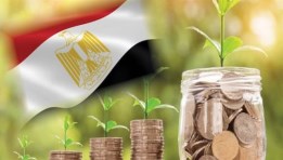 الاقتصاد الاخضر 