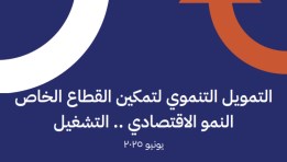 تقرير التمويل التنموي لتمكين القطاع الخاص
