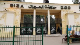 حديقة الحيوان 