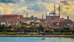 من «ضفاف النيل» إلى «خضرة الأزهر»