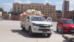 توريد محصول القمح المحلي 2025م