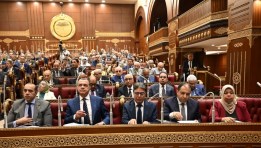 مجلس الشيوخ - أرشيفية