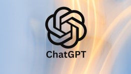 شات جي بي تي ChatGPT 