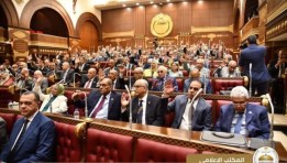 مجلس الشيوخ