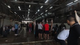 مجزر البساتين يفتح 5 صالات لاستقبال أضاحى المواطنين مجانا بالقاهرة
