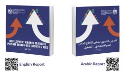 التمويل التنموي لتمكين القطاع الخاص