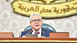 الدكتور حنفي جبالي