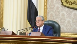 الدكتور حنفى جبالى 