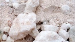 الجبس