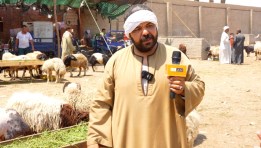 أبو أدهم تاجر الخراف.. تصوير: إبراهيم نصر