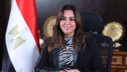 التنمية المحلية 