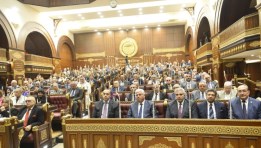مجلس الشيوخ