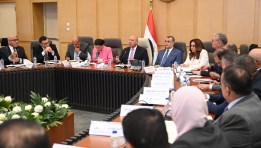 جهود الوزارات والهيئات المعنية