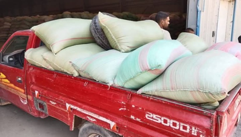 توريد محمصول القمح توريد محمصول القمح