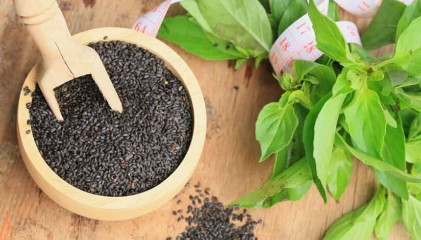 بذور الريحان بذور الريحان