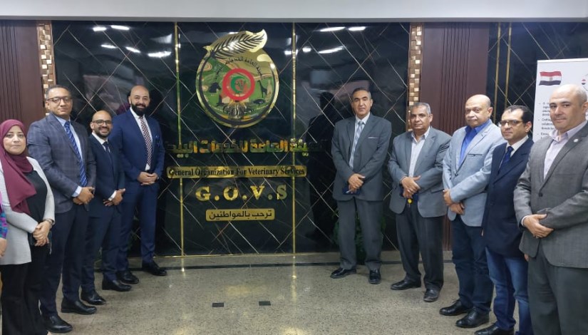 جانب من الاجتماع جانب من الاجتماع