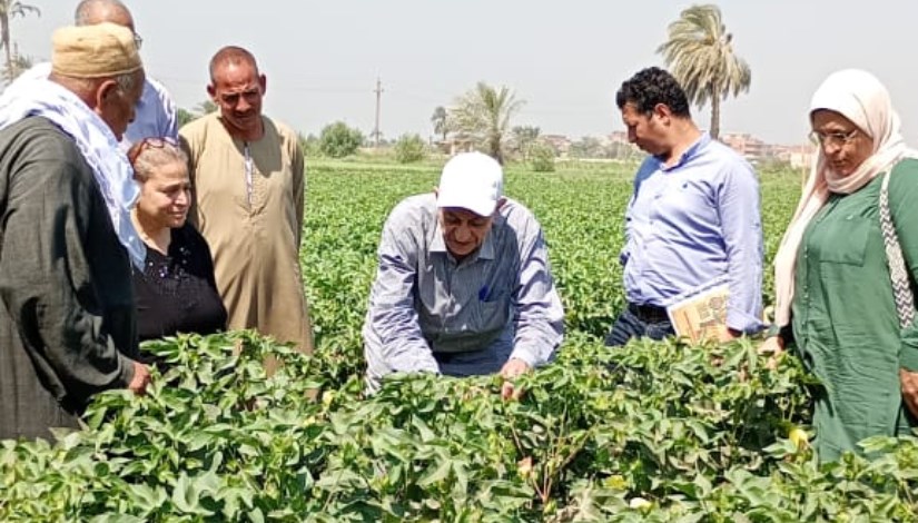 جانب من الندوات الارشادية جانب من الندوات الارشادية