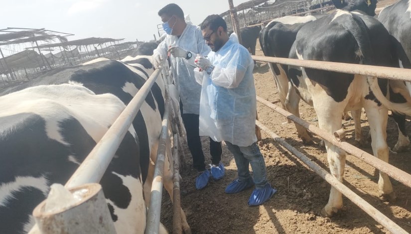 جانب من الفحص والعلاج جانب من الفحص والعلاج