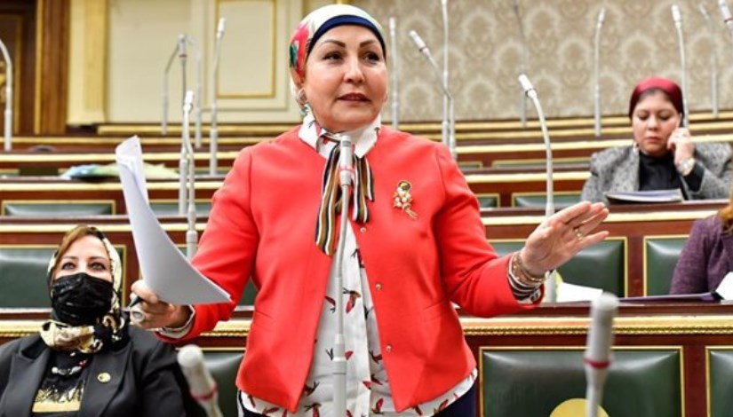 النائبة هالة أبو السعد النائبة هالة أبو السعد