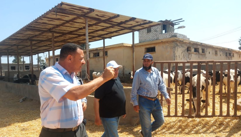 أنشطة المرور والمتابعة الميدانية أنشطة المرور والمتابعة الميدانية
