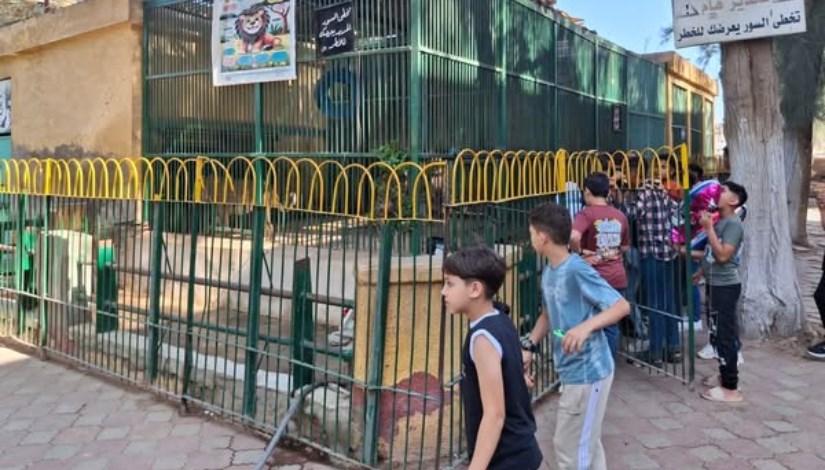 حدائق الحيوان والأسماك 