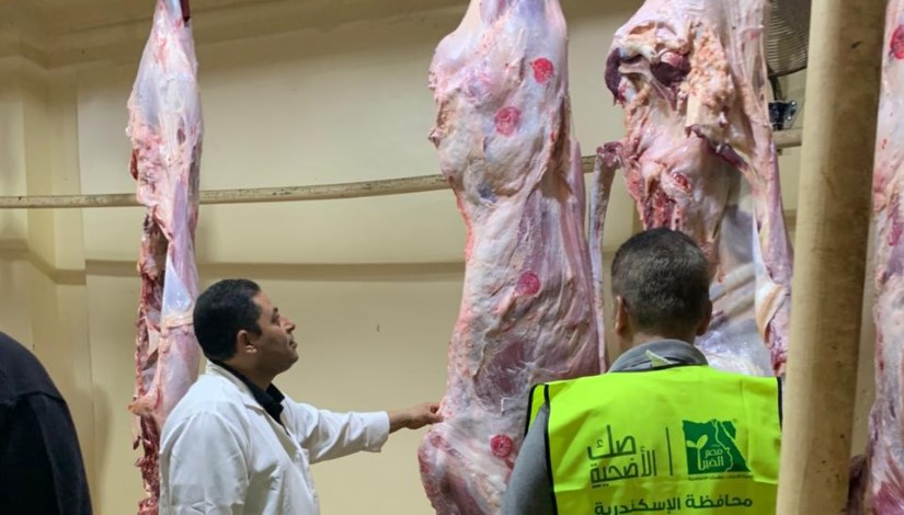 مجزر صندوق التأمين مجزر صندوق التأمين