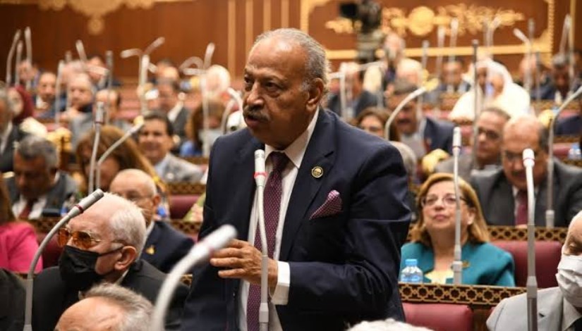 المهندس هاني العسال، عضو مجلس الشيوخ المهندس هاني العسال، عضو مجلس الشيوخ