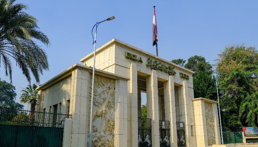 حديقة الحيوان حديقة الحيوان