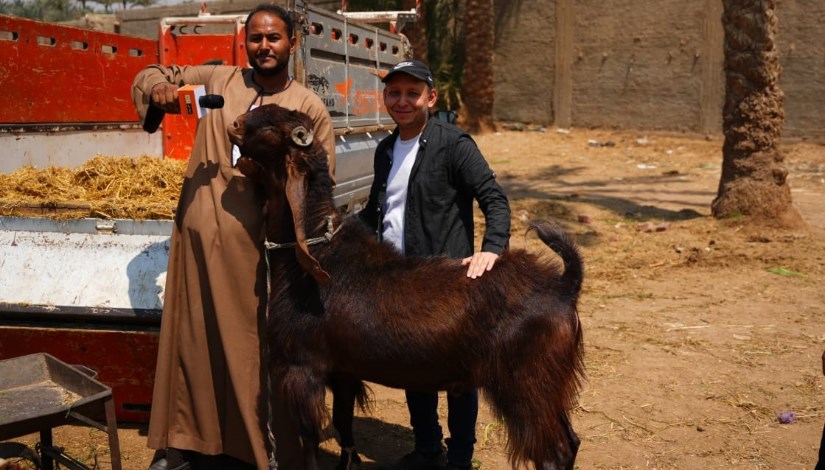 الجدي العملاق.. تصوير: إبراهيم نصر الجدي العملاق.. تصوير: إبراهيم نصر