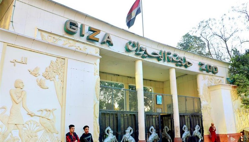 حديقة الحيوان بالجيزة حديقة الحيوان بالجيزة