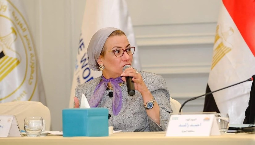 وزيرة البيئة وزيرة البيئة