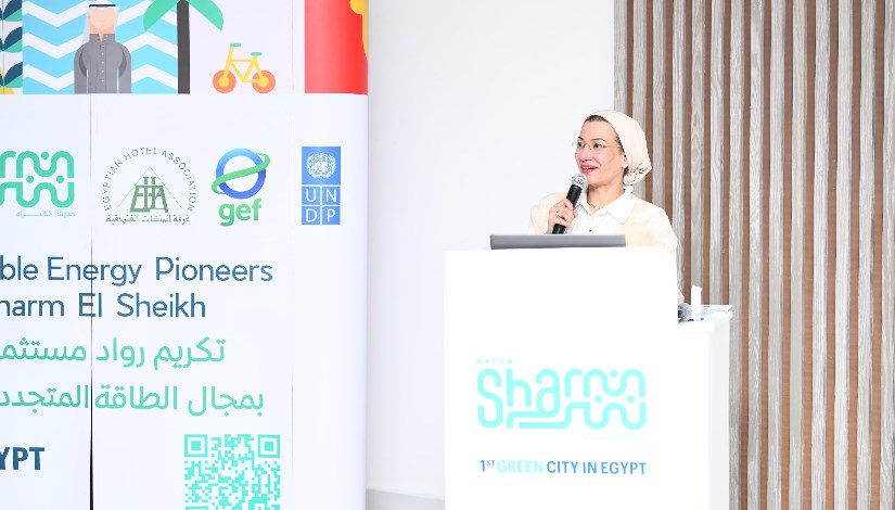 وزيرة البيئة وزيرة البيئة