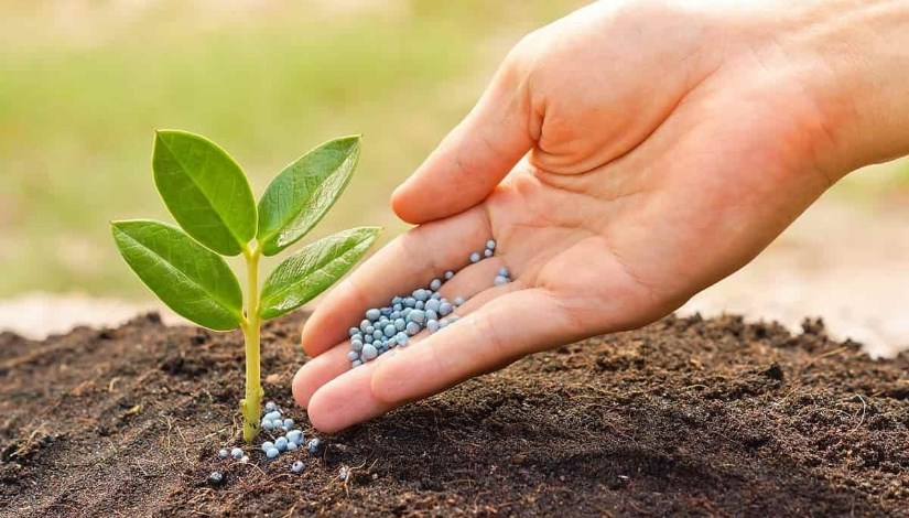 أسمدة زراعية أسمدة زراعية
