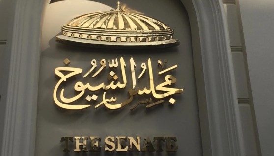 مجلس الشيوخ