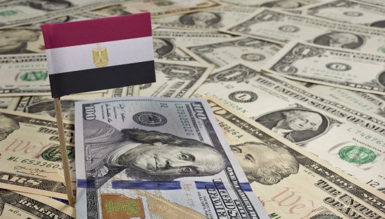 مصادر مصر الدولارية