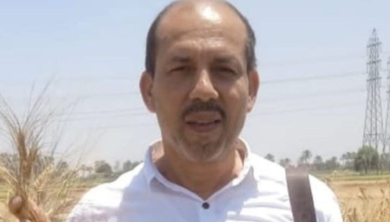 الدكتور بدوي رجب مهدلي، رئيس قسم بحوث أمراض الشعير