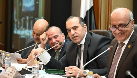 وزير الشئون النيابية