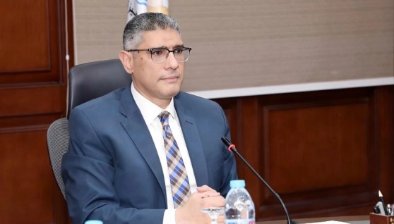 المهندس عادل النجار محافظ الجيزة