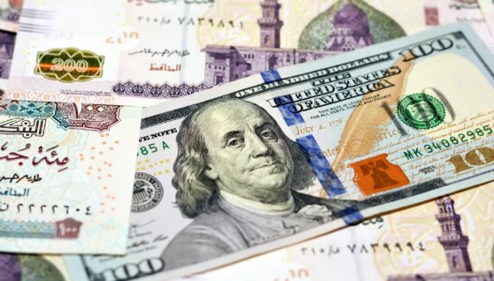سعر الدولار اليوم 